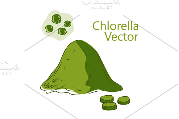 Superfood Chlorella Set In Hand Drawn Style
