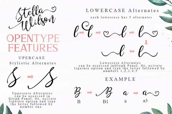 Stella Wilson Font Duo & Extras in Script Fonts - product preview 1