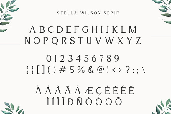 Stella Wilson Font Duo & Extras in Script Fonts - product preview 15