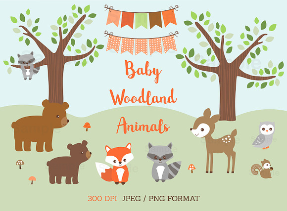 Baby Woodland Animal Clipart in Illustrations