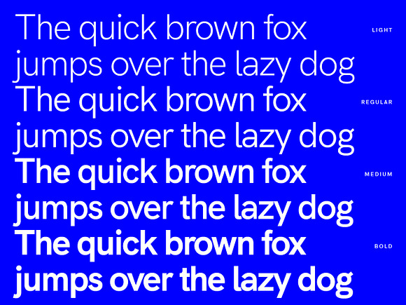 Natrix Sans in Sans-Serif Fonts - product preview 5