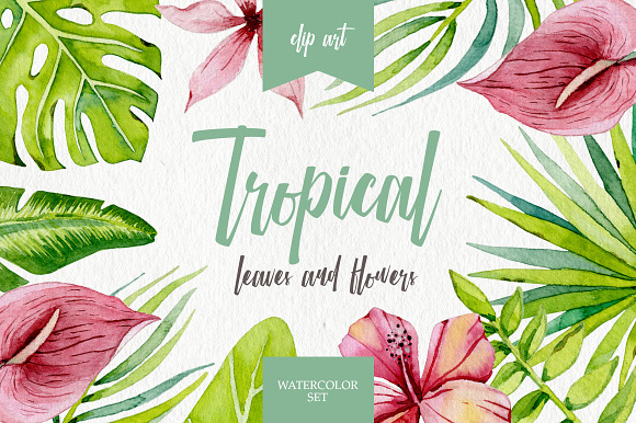 Watercolor floral Bundle in Illustrations - product preview 1