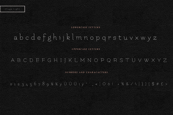 Uruga Typeface Font + Webfont in Display Fonts - product preview 5