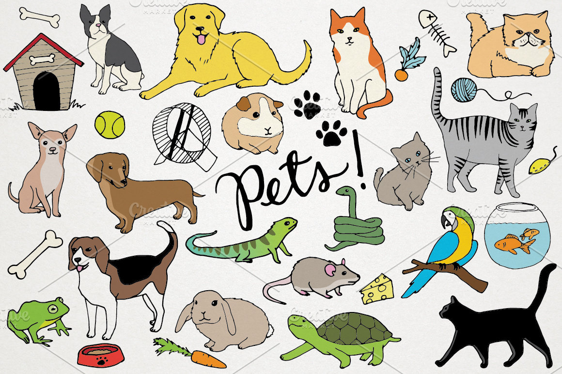 Animals & Pets Illustrations Illustrations Creative Market