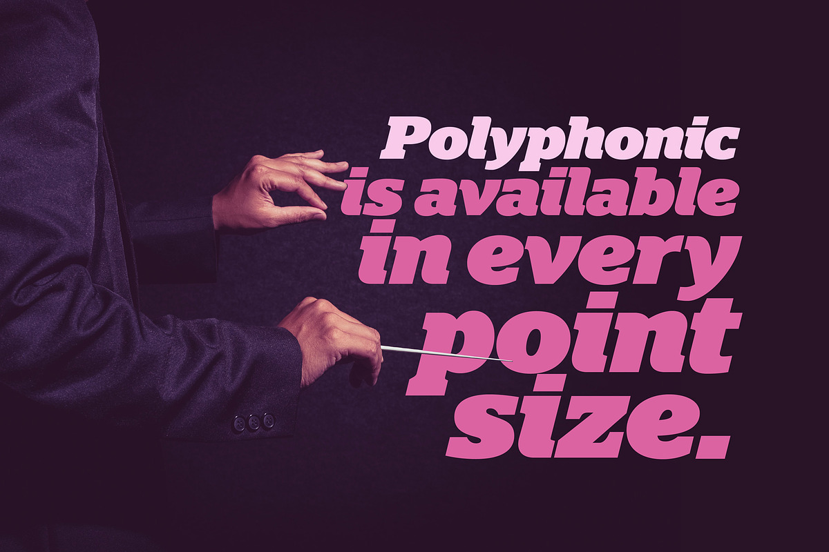 Polyphonic 12-Font Slab Serif Family in Slab Serif Fonts - product preview 1