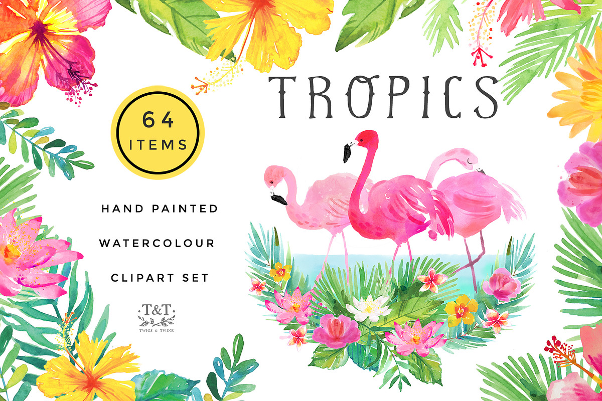 January Sale Huge Watercolor Bundle in Illustrations - product preview 18