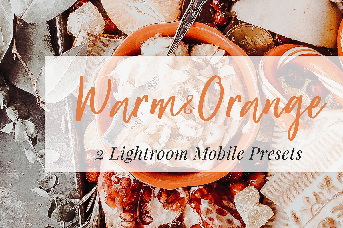 5 Winter Lightroom Mobile Presets in Photoshop Actions - product preview 3