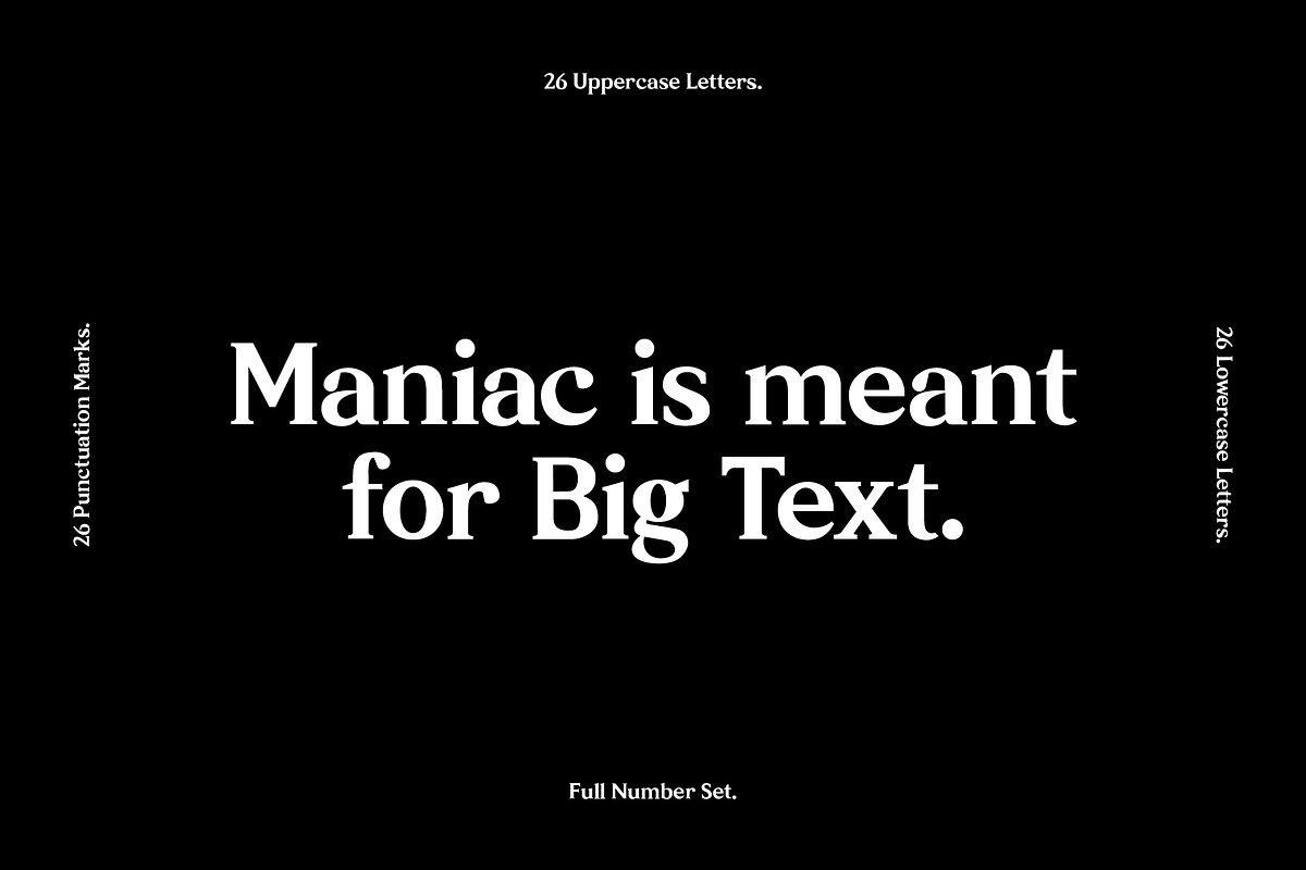 $14 OFF - Maniac Family in Serif Fonts - product preview 7