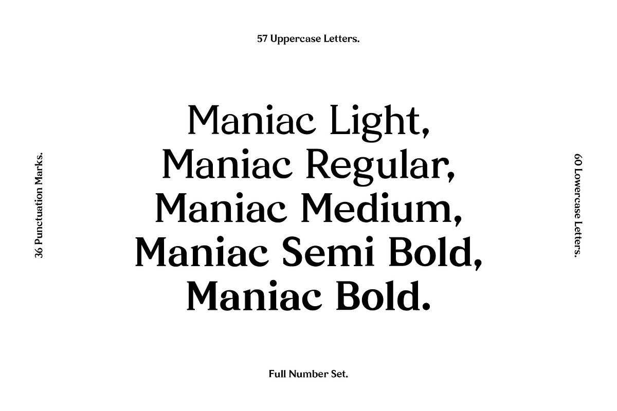 $14 OFF - Maniac Family in Serif Fonts - product preview 9