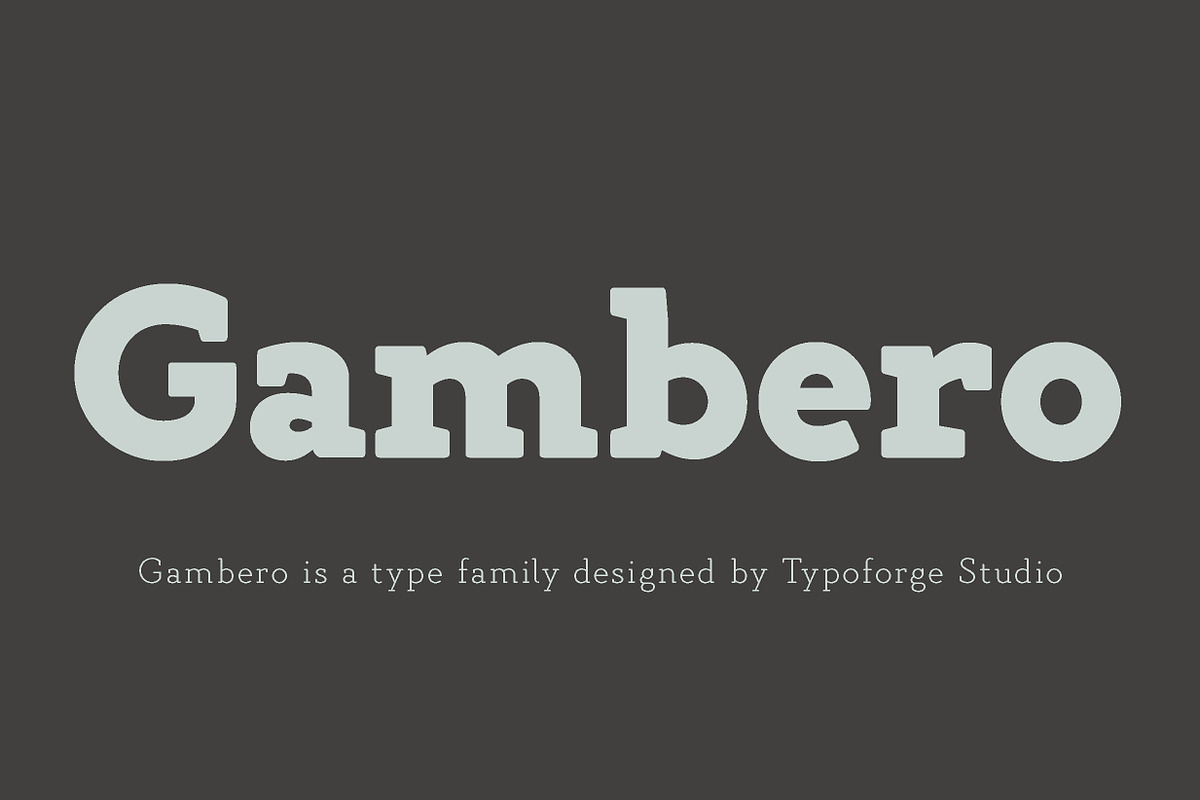 Gambero 90% off in Slab Serif Fonts