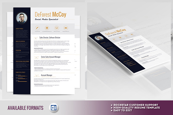 Resume Template - Alderamin in Resume Templates - product preview 2