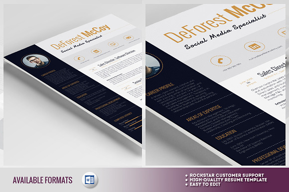 Resume Template - Alderamin in Resume Templates - product preview 3