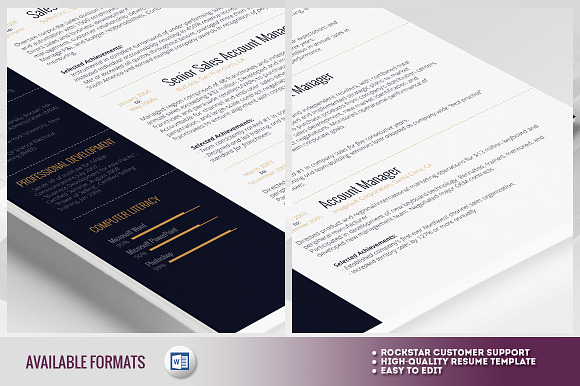 Resume Template - Alderamin in Resume Templates - product preview 4