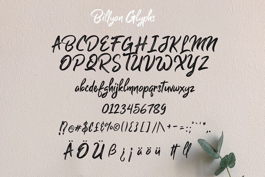Billyon // Brush Script in Script Fonts - product preview 6