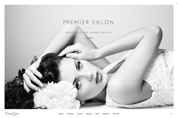 Salon - Elegant Full-Screen Theme in WordPress Business Themes