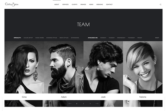 Salon - Elegant Full-Screen Theme in WordPress Business Themes - product preview 1