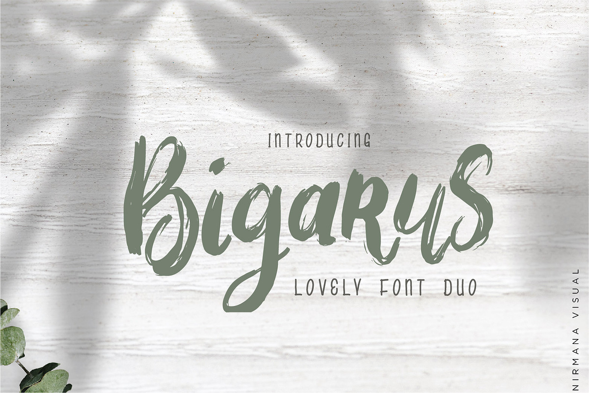Bigarus Font Duo in Display Fonts
