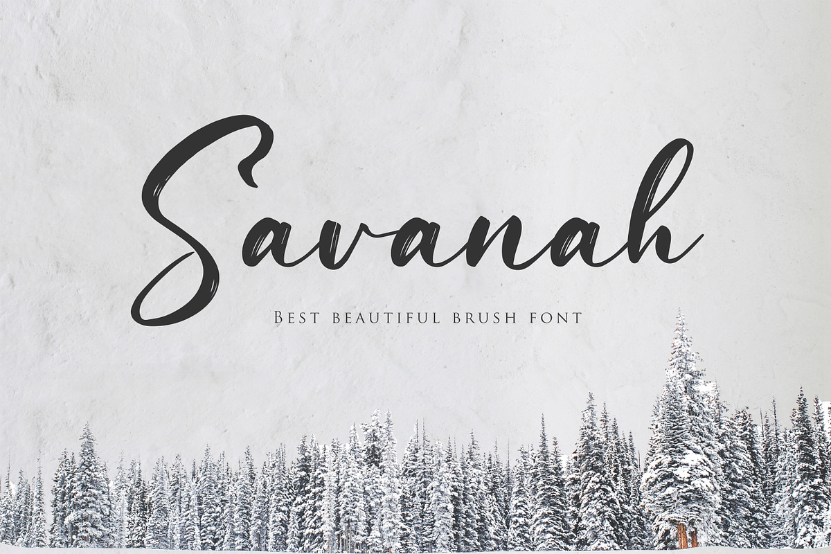 Savanah, a Brush Script Font in Script Fonts