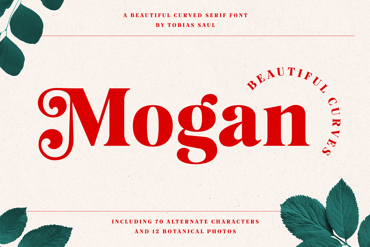 Best Mogan Font + Extras Fonts for logo design download buy