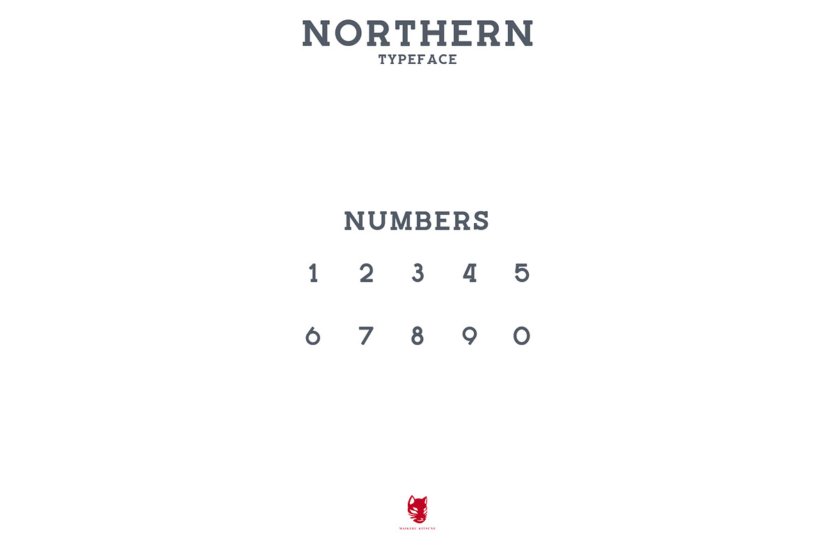 Northern Typeface in Serif Fonts - product preview 2