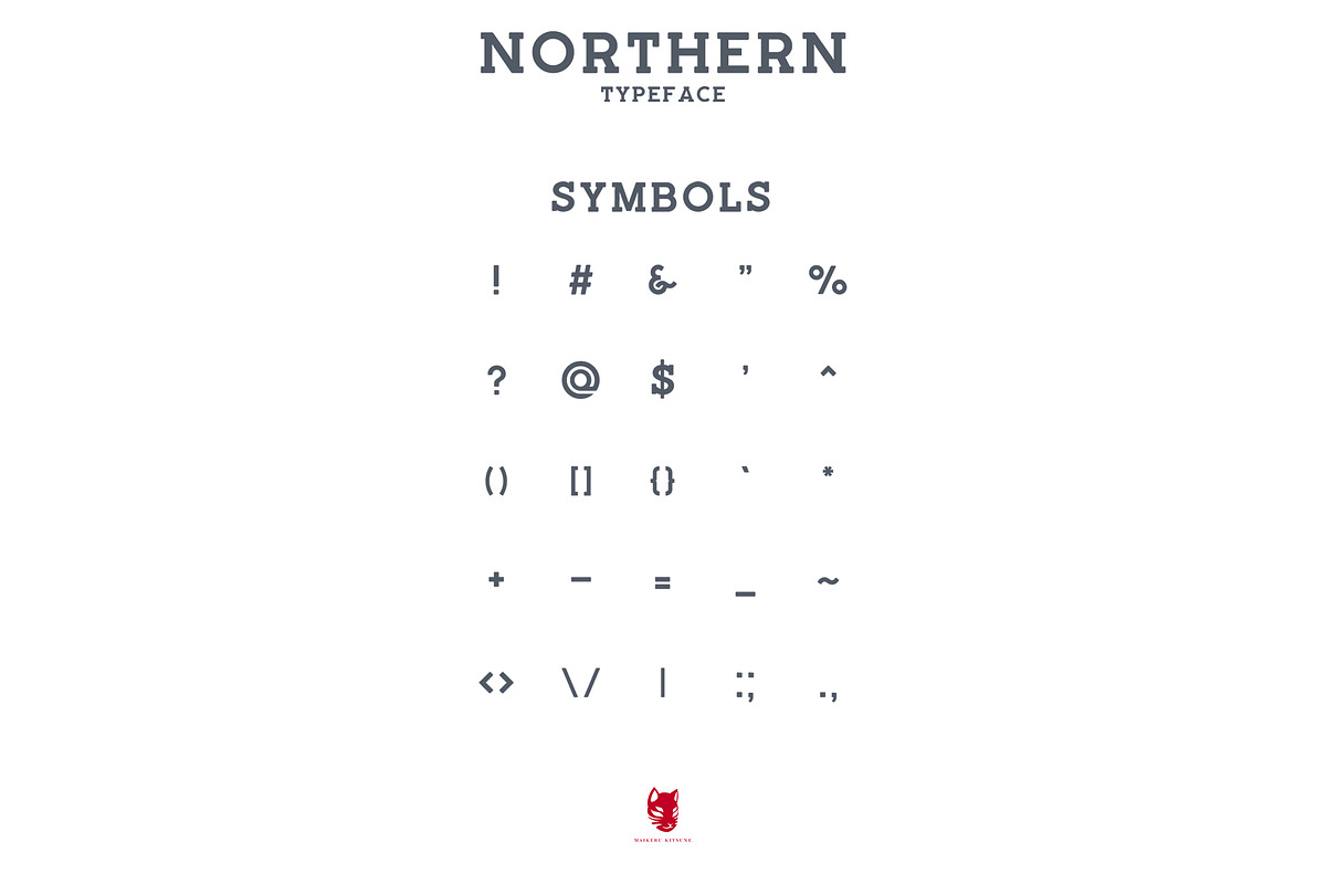 Northern Typeface in Serif Fonts - product preview 3