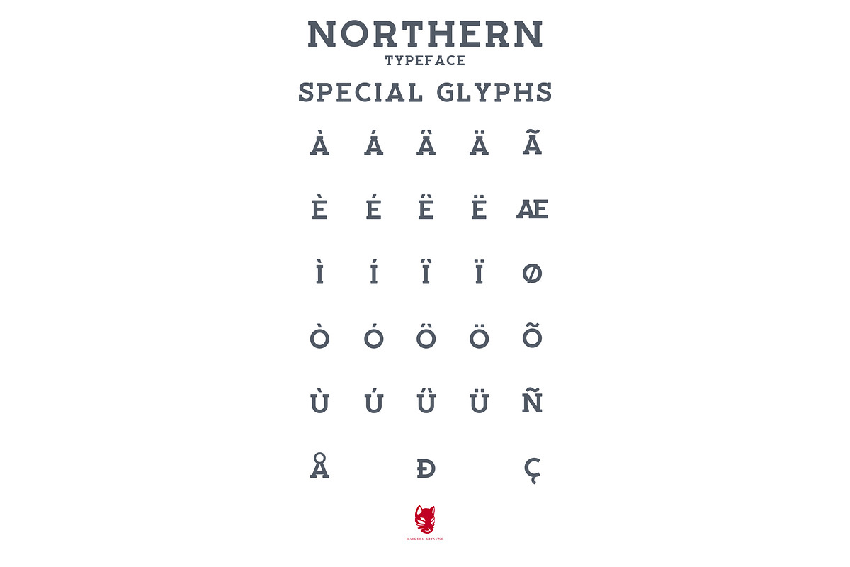Northern Typeface in Serif Fonts - product preview 4