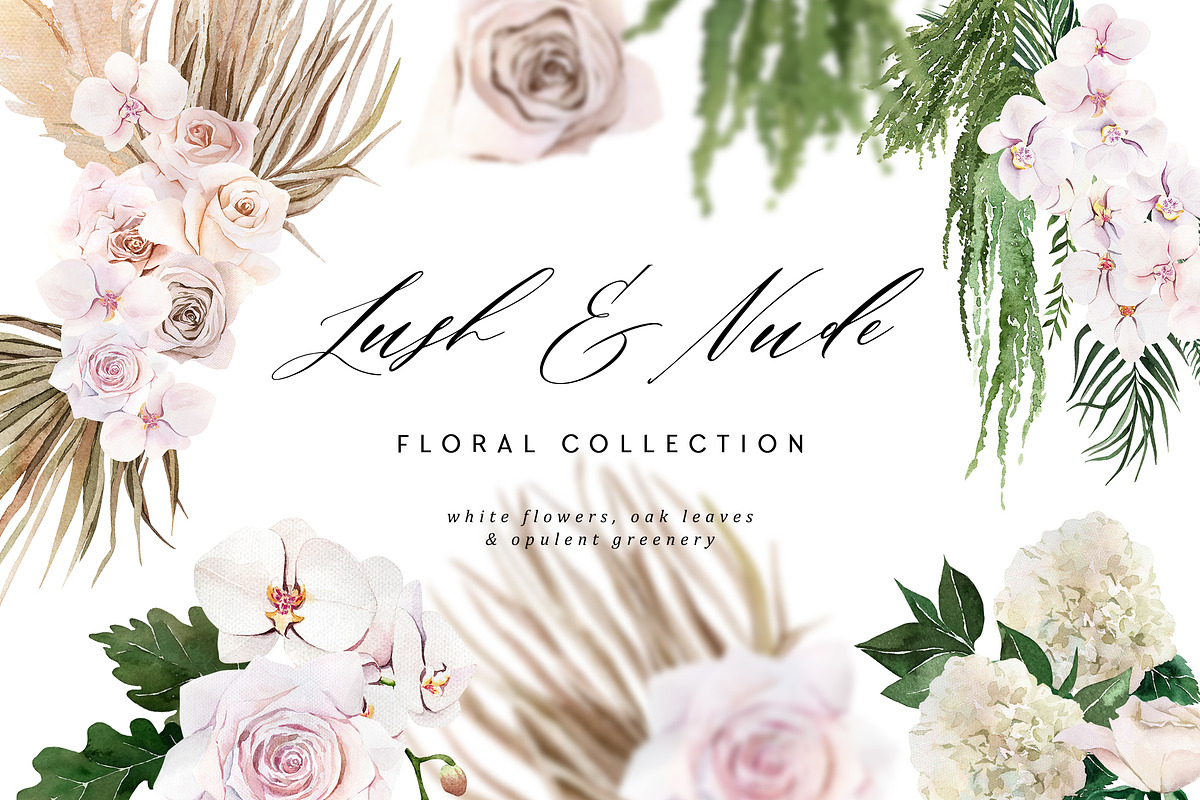 lush & nude floral collection ~ illustrations ~ creative market