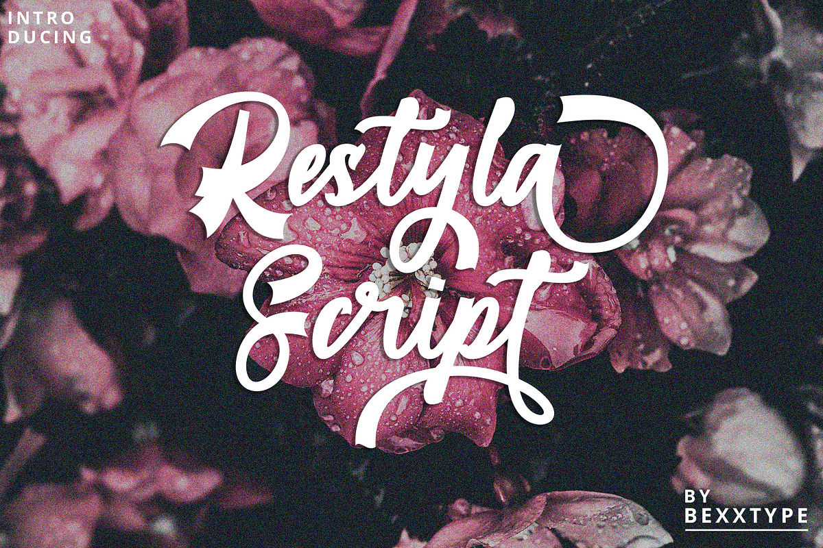 Restyla Script | Handmade Font in Script Fonts