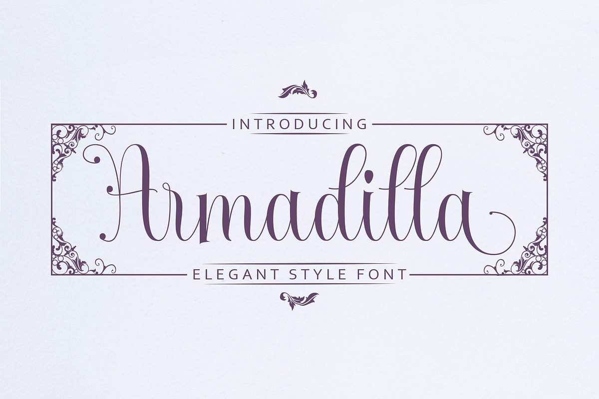 Armadilla in Script Fonts