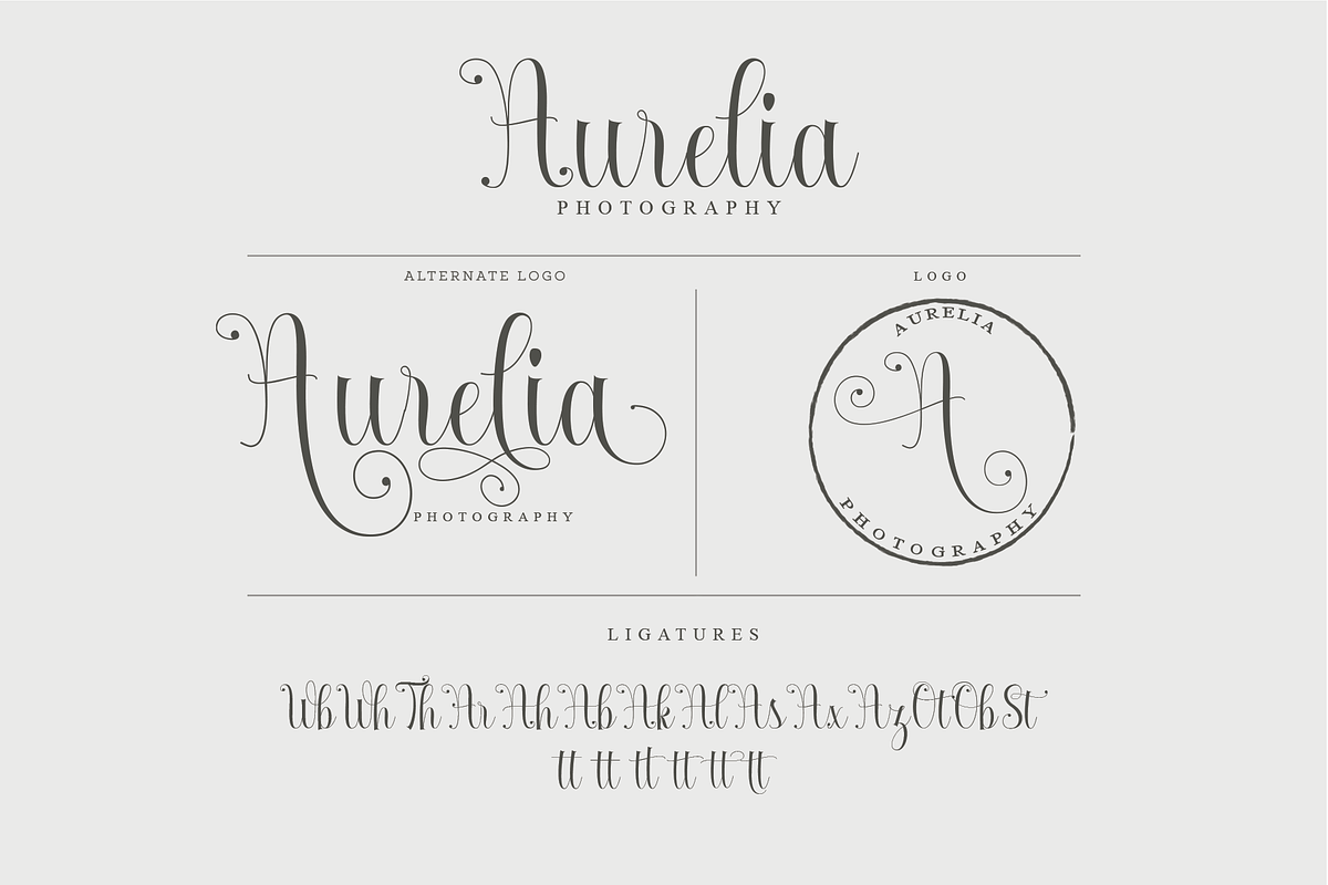 Armadilla in Script Fonts - product preview 4