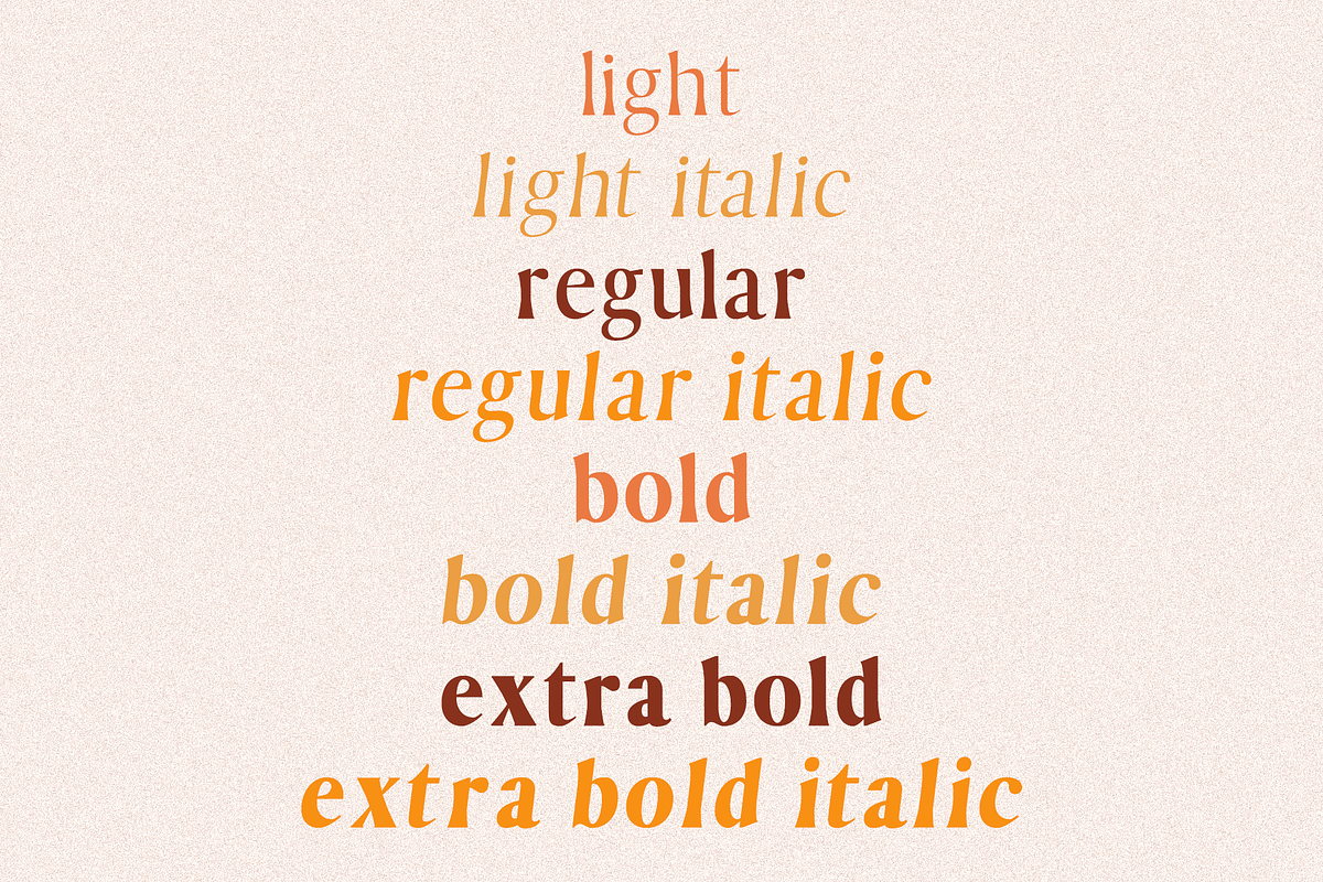 Astra | Beautiful Serif Font Family in Serif Fonts - product preview 1