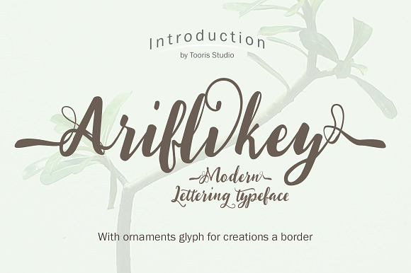 Ariflikey Typeface (30% Off) in Script Fonts