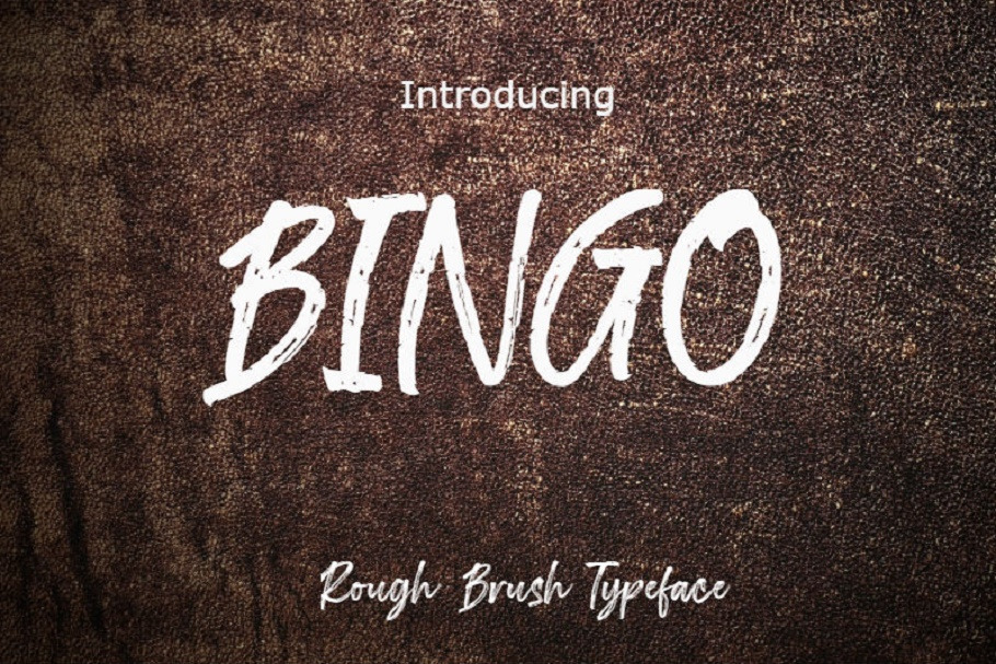 Bingo Font in Slab Serif Fonts