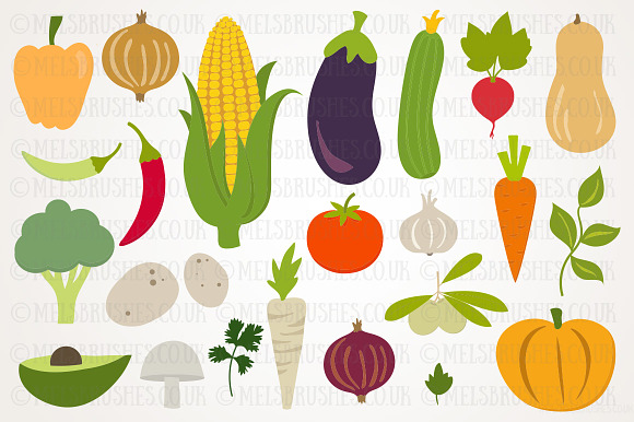 root vegetables clipart - photo #44