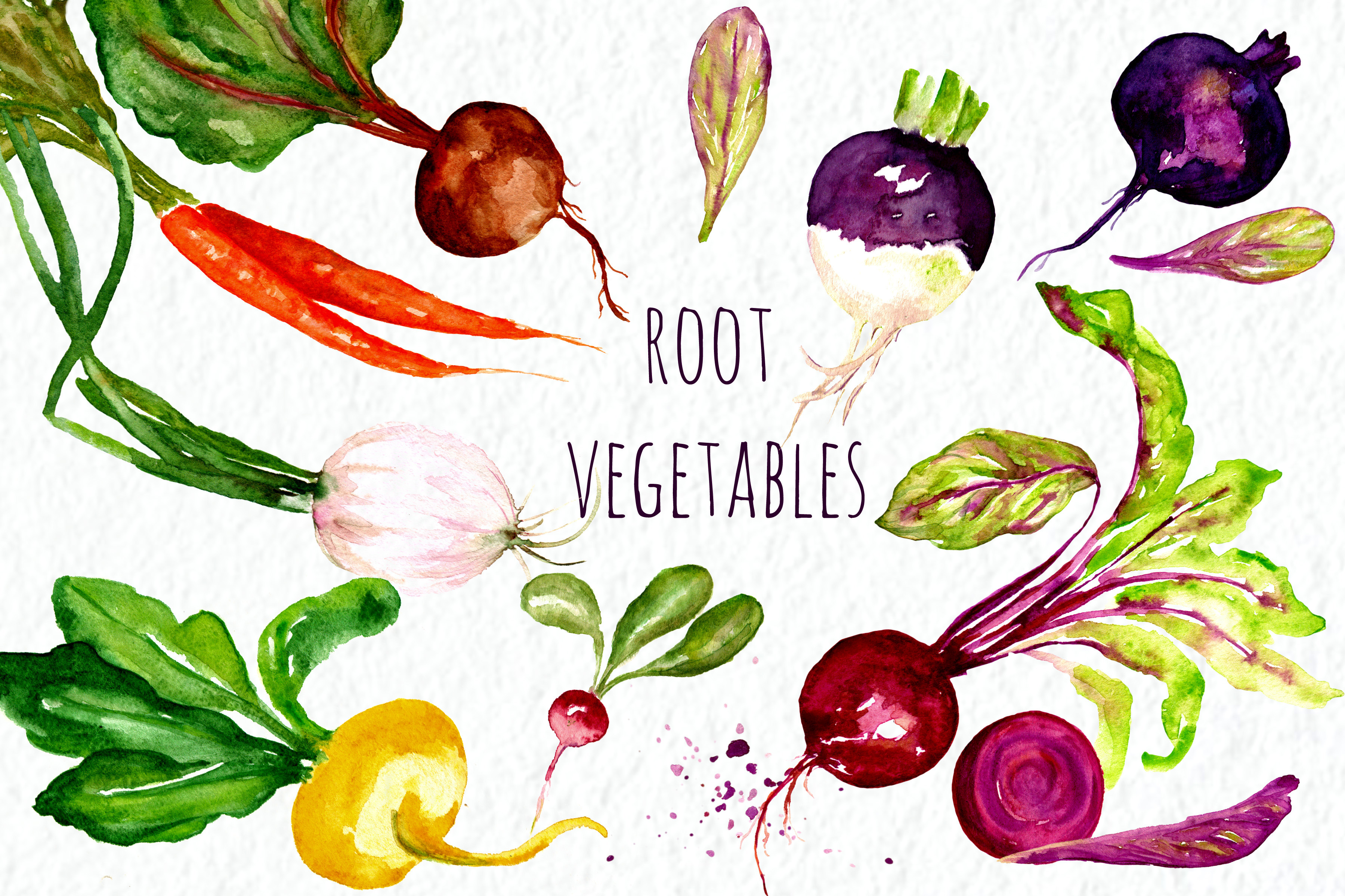 root vegetables clipart - photo #3