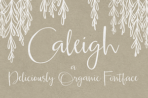 Caleigh Script Font with Bonus