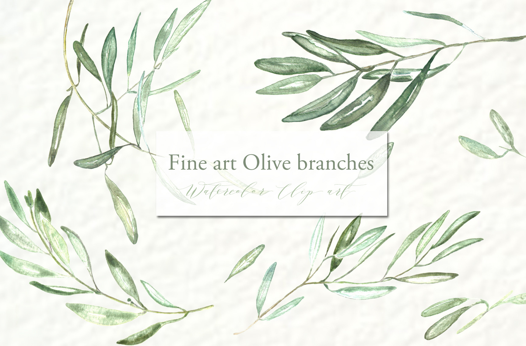 free clip art olive leaf - photo #32