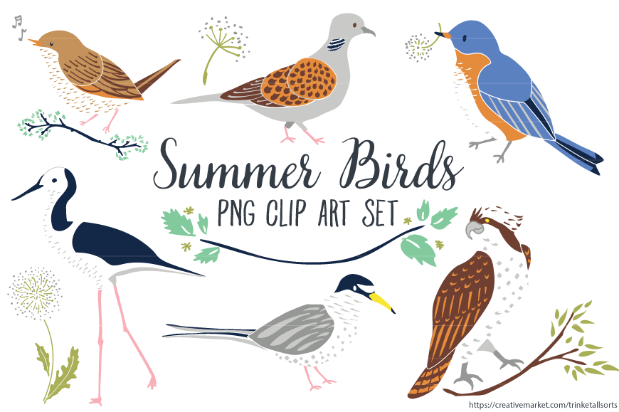Summer Bird Clip Art Summer Clip Art ~ Illustrations ...